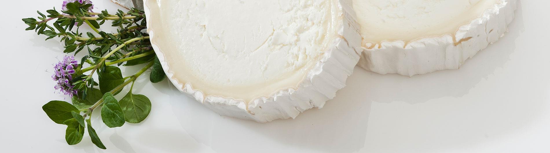 Zwei Scheiben Ziegenkäse roh mit Blumen und Grünzeug als Deko