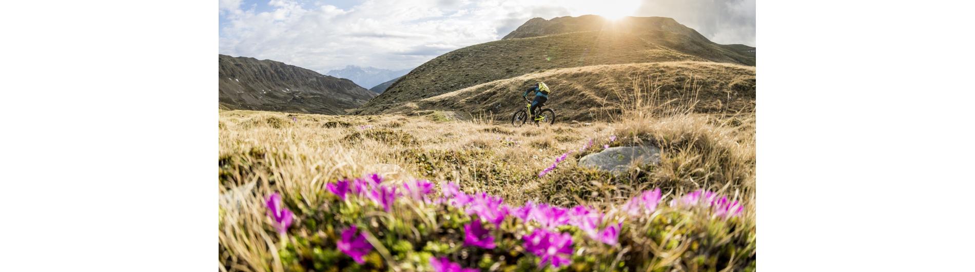 Mountain biker on the trail
