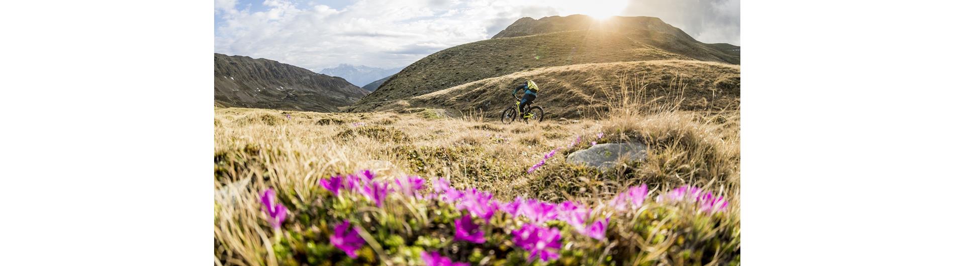 Mountain biker sul terreno