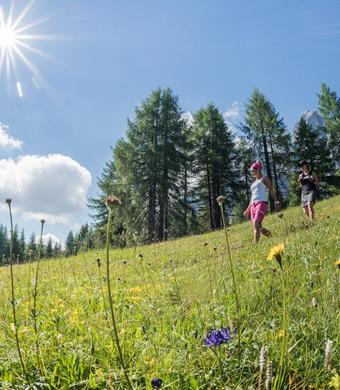 030-gsell-blumen-torismusvereinsexten-haraldwisthaler-10